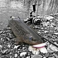Олег "Fan of a trout"
